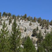 SouthernSierra 484 : SouthernSierra